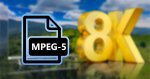 MPEG-5.jpg
